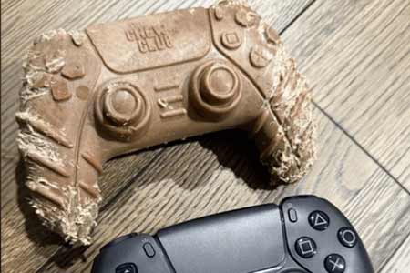 Reddit網友分享“PS5手柄”被自家狗狗撕咬後的慘狀