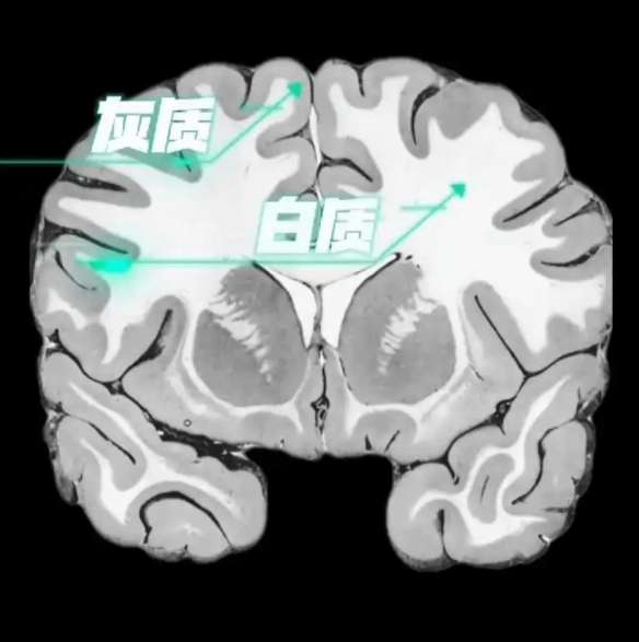 遊俠網2