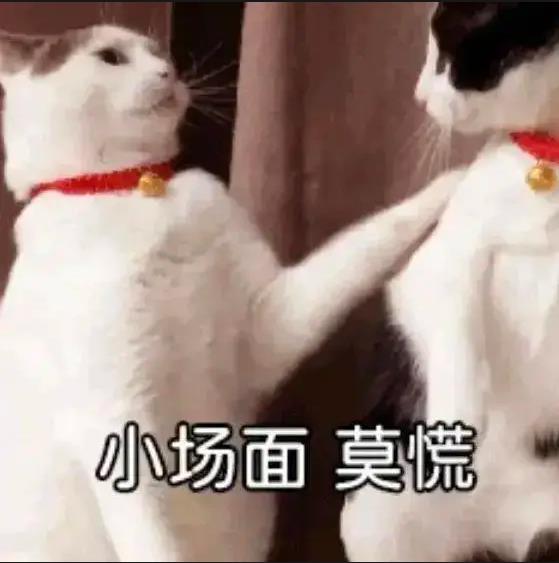 遊俠網12