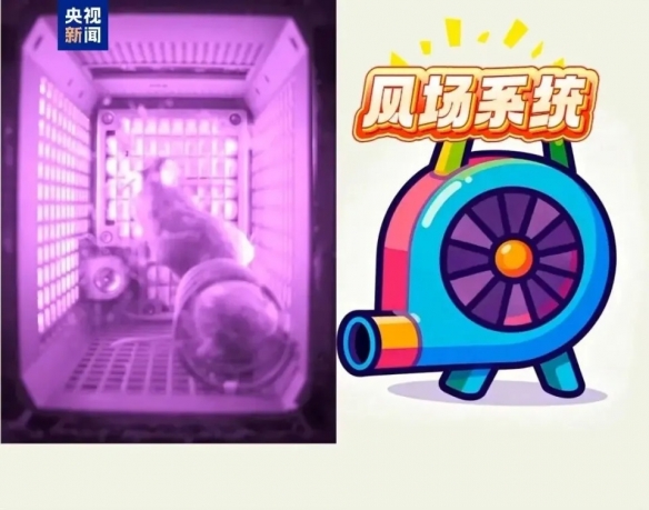 遊俠網2