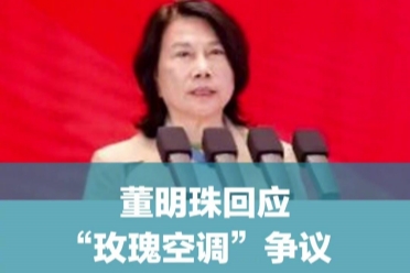 董明珠再回應空調：打造藝術品與帶動產業鏈發展並重