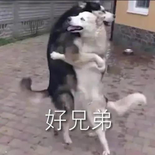 遊俠網23